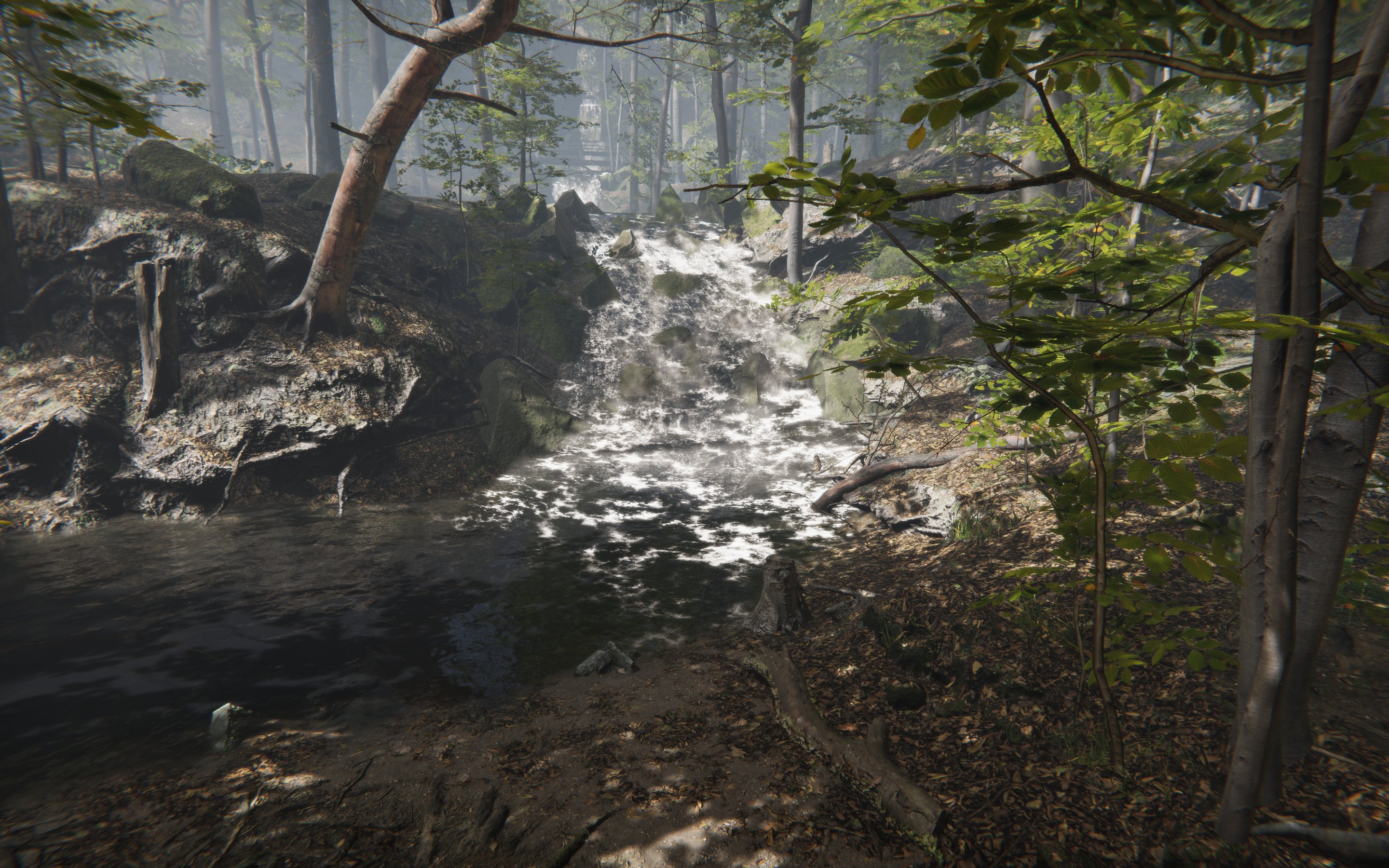 The Darien Gap VR Educational Game