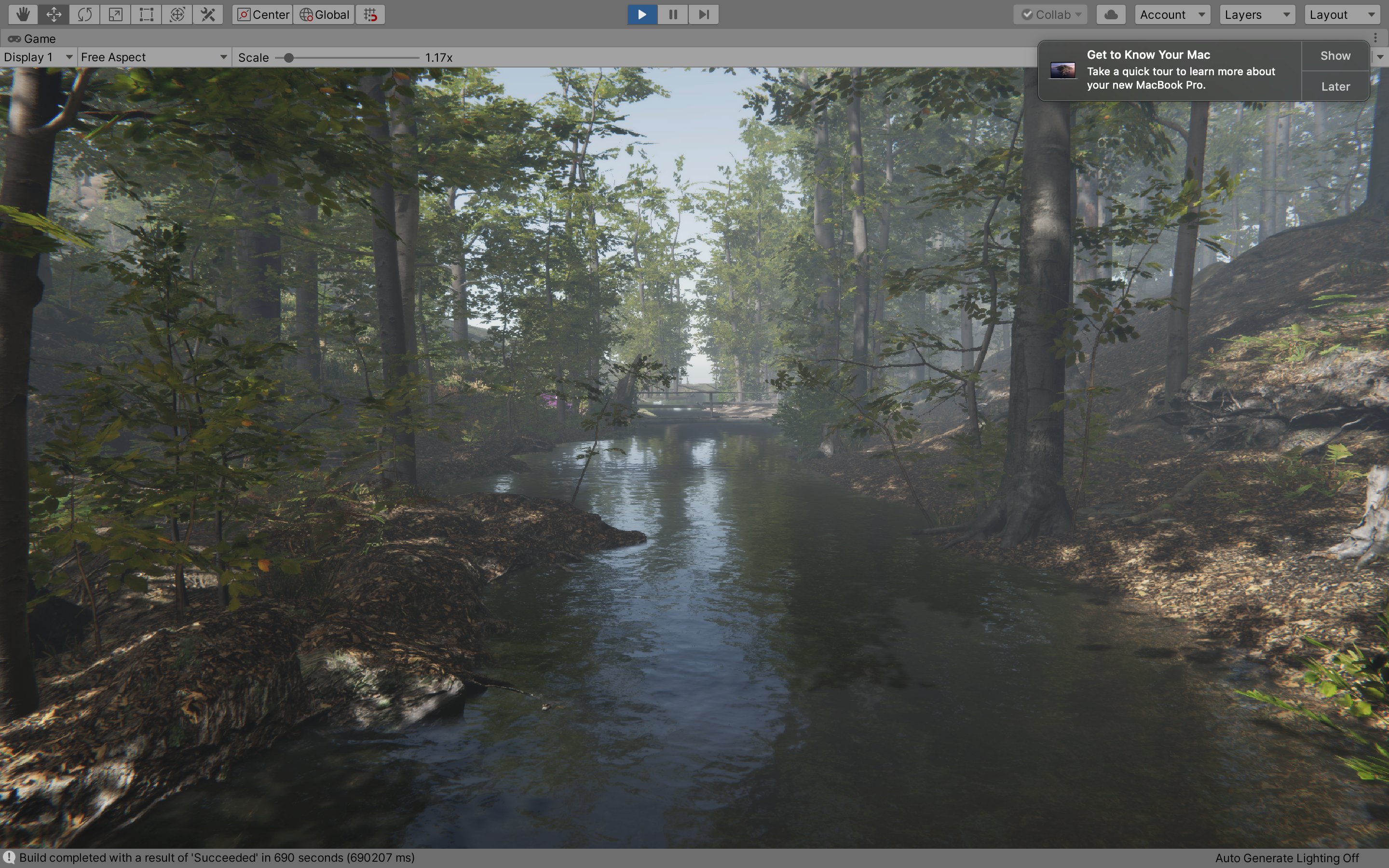 River path through the jungle