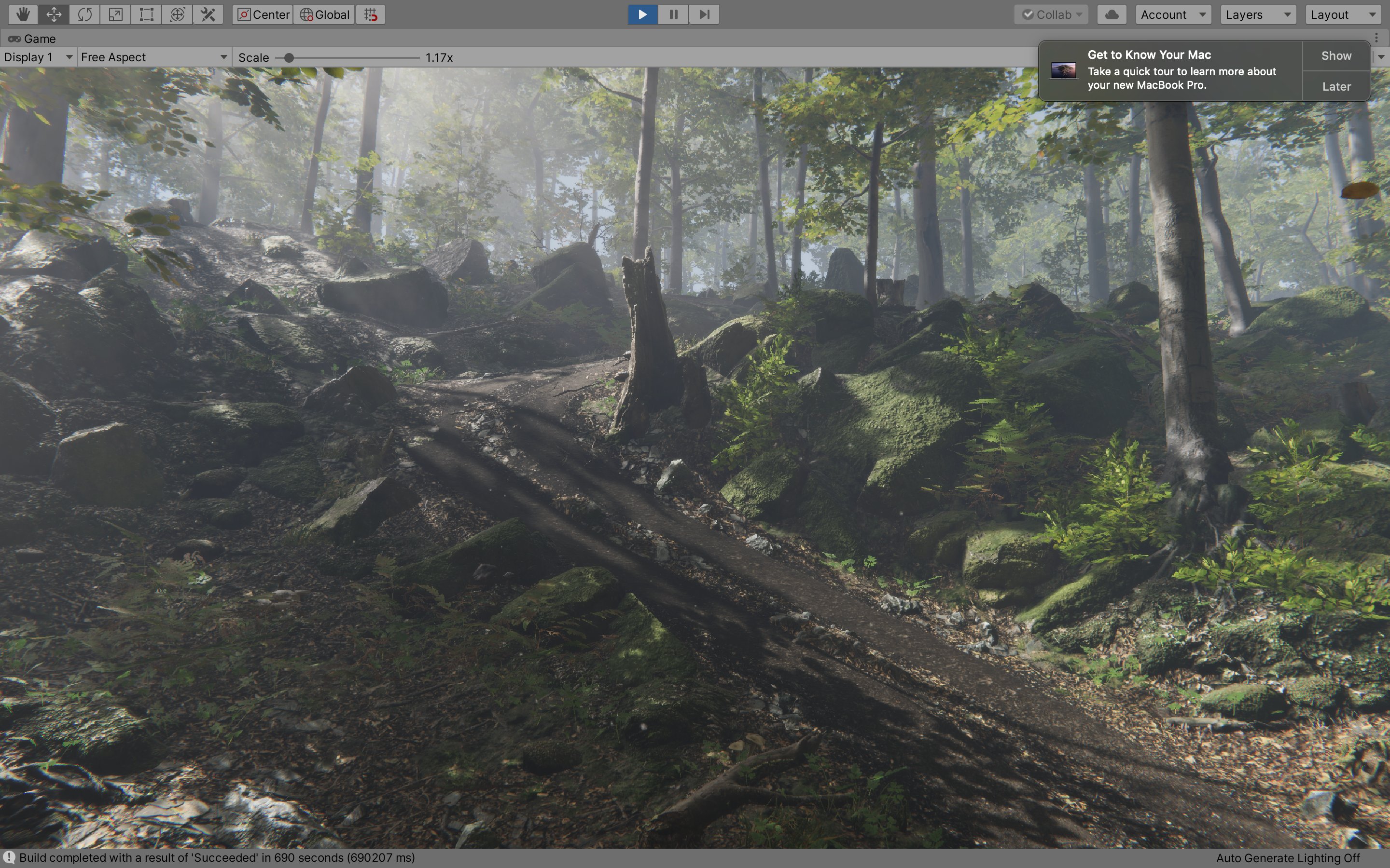 Rocky mossy path through the forest