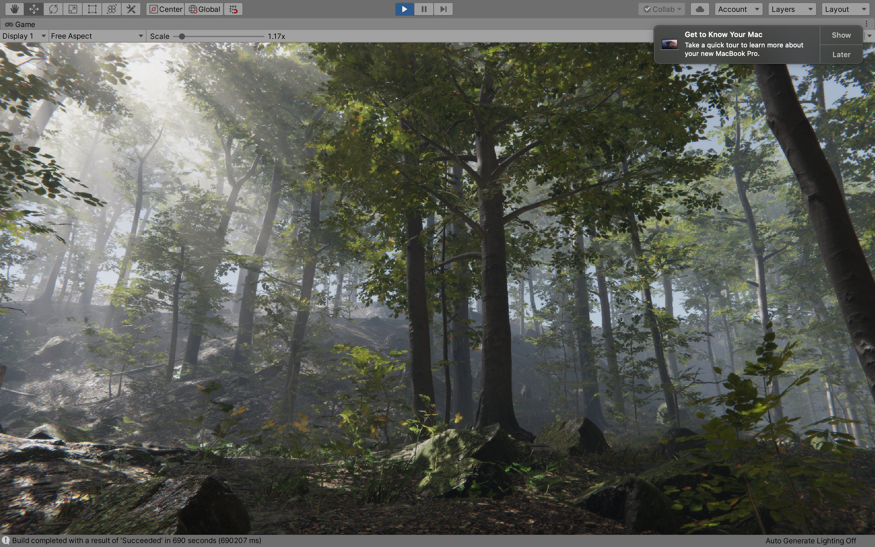 Forest interior with sun beams filtering through trees