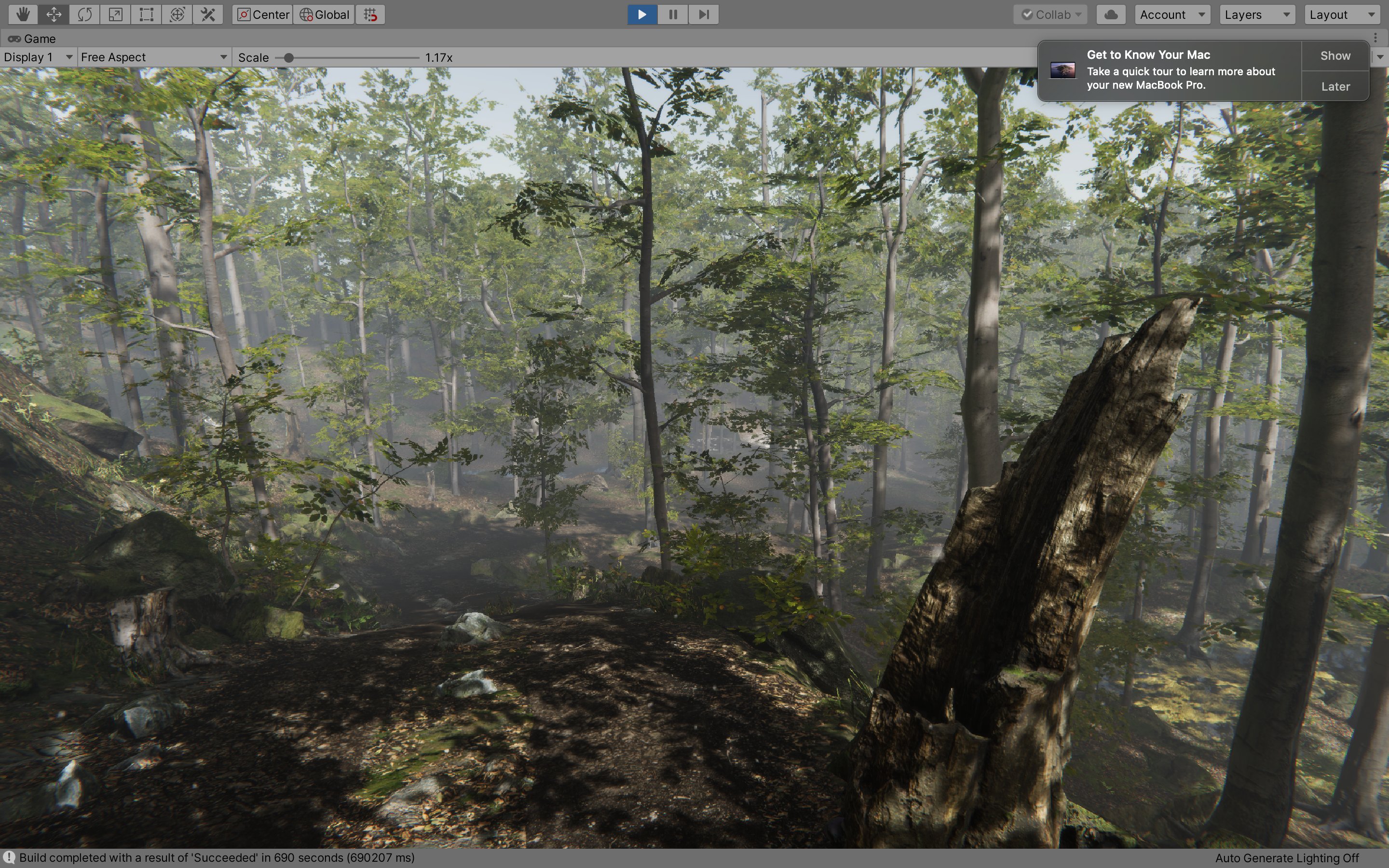 Open forest clearing with tall trees