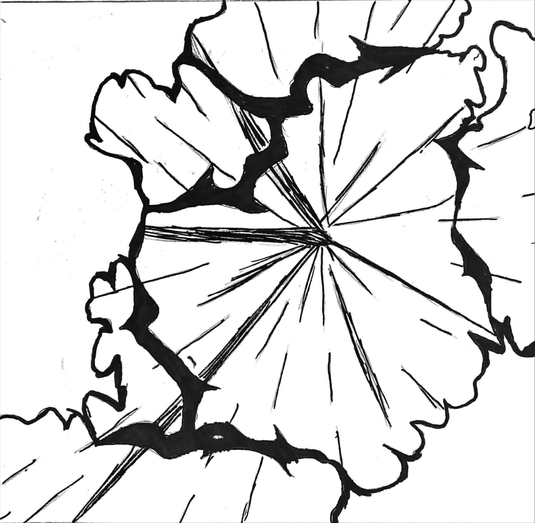 Student texture composition — radiating flower form